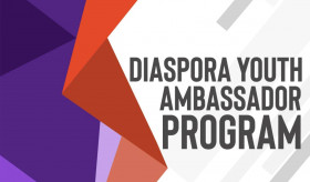 About Diaspora Youth Ambassador Program